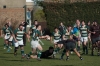 2014-03-15-am1-63-5-wasps-11