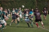 2014-03-15-am1-63-5-wasps-12