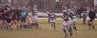 2014-03-15-am1-63-5-wasps-32