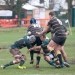 2014-01-18-ealingams1s0031