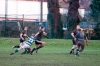 2014-01-18-ealingams1s035