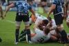 Sam Wilkes digs out the ball