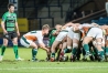 Tom Parker feeds a scrum