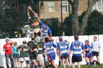 IMG_8618_1_.JPG